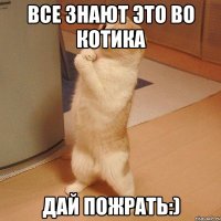 все знают это во котика дай пожрать:)