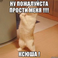 ну пожалуйста прости меня !!!! Ксюша !