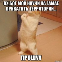 Ох,бог мой научи на гамае приватить территории... Прошуу