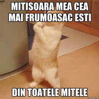 mitisoara mea cea mai frumoasac esti din toatele mitele