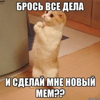 Брось все дела И сделай мне новый мем??