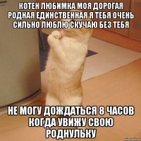 Котен любимка моя дорогая родная единственная я тебя очень сильно люблю скучаю без тебя не могу дождаться 8 часов когда увижу свою роднульку