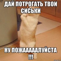 Дай потрогать твои сиськи Ну пожааааалуйста !!!