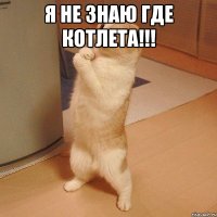 Я не знаю где котлета!!! 