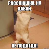 Россиюшка, ну давай, не подведи!