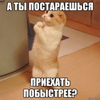 а ты постараешься приехать побыстрее?