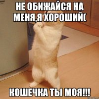 не обижайся на меня,я хороший( Кошечка ты моя!!!