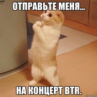 Отправьте меня... На концерт BTR.