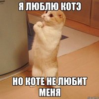 я люблю котэ но коте не любит меня