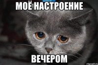 Моё настроение вечером