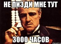 Не пизди мне тут 3000 часов