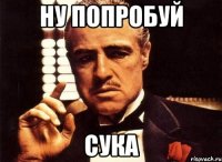 Ну попробуй Сука