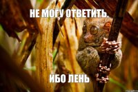 не могу ответить, ибо лень