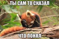 Ты сам то сказал Что понял