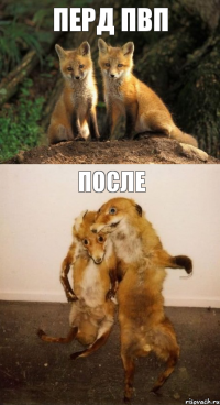 ПЕРД ПВП ПОСЛЕ