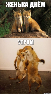 женька днём утром