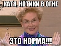 Катя, КОТИКИ В ОГНЕ ЭТО НОРМА!!!