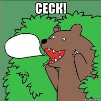 сеск! 