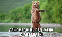  даже медведь рад когда ставят лайк)