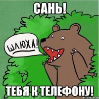 Сань! Тебя к телефону!