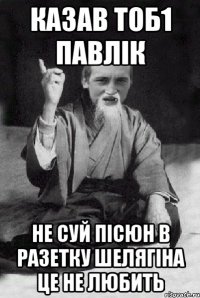 казав тоб1 Павлік не суй пісюн в разетку шелягіна це не любить