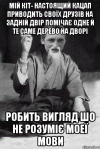 МІЙ КІТ- НАСТОЯЩИЙ КАЦАП ПРИВОДИТЬ СВОЇХ ДРУЗІВ НА ЗАДНІЙ ДВІР ПОМІЧАЄ ОДНЕ Й ТЕ САМЕ ДЕРЕВО НА ДВОРІ Робить вигляд шо не розуміє моеї мови