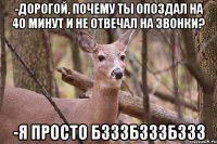 -Дорогой, почему ты опоздал на 40 минут и не отвечал на звонки? -Я просто бзззбзззбззз