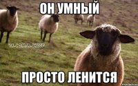 он умный просто ленится