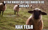 я так никогда еще никого не любил как тебя