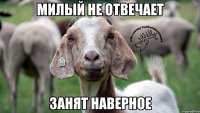 милый не отвечает занят наверное