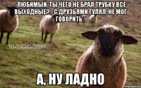 -Любимый, ты чего не брал трубку все выходные? - С друзьями гулял, не мог говорить:* А, ну ладно