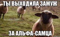 ты выходила замуж за альфа-самца