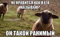 не нравится как я его называю.. он такой ранимый