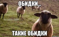 обидки... такие обидки