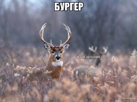 бургер 