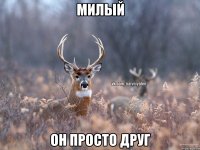 милый он просто друг