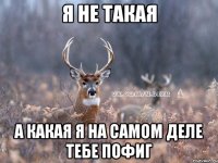 я не такая а какая я на самом деле тебе пофиг