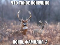 что такое кожушко кожа, фамилия, ?