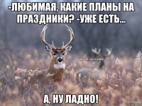 -Любимая, какие планы на праздники? -Уже есть... А, ну ладно!