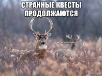 странные квесты продолжаются 