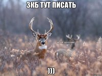 зкб тут писать )))