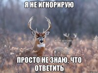 Я не игнорирую Просто не знаю, что ответить