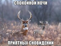 Спокойной ночи приятных сновидений