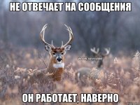 не отвечает на сообщения он работает, наверно