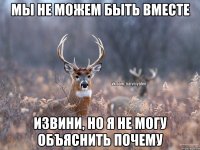 мы не можем быть вместе извини, но я не могу объяснить почему