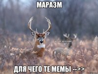 маразм для чего те мемы -->>