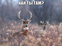 Как ты там? 