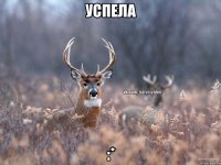 успела :*