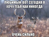 Любимый, вот сегодня я хочу тебя как никогда Очень сильно. ..