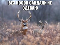 Без носок сандали не одеваю 